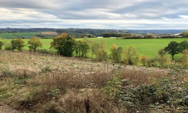 Dümpelwanderung 2.jpg